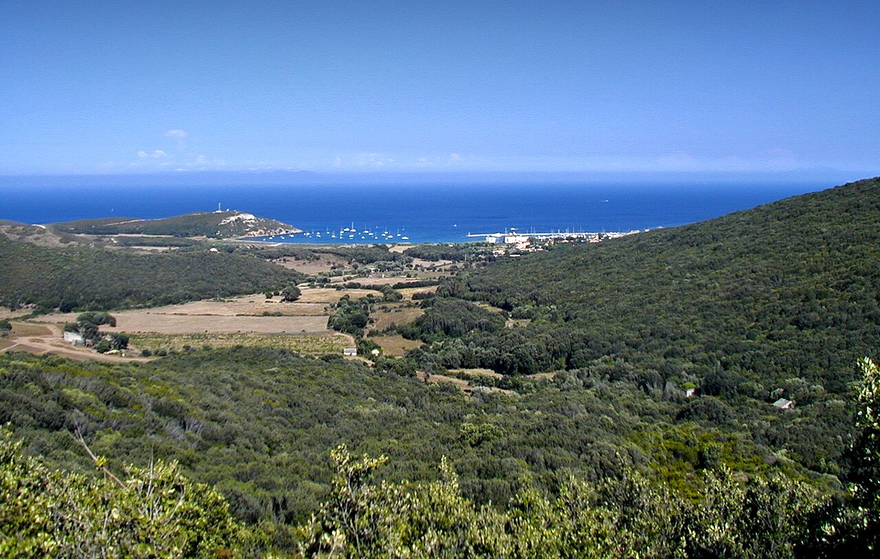Tour génoise de Rogliano
